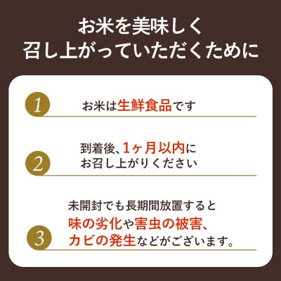 【2025年産】【定期便:5回】北海道羽幌産オロロン米ななつぼし10kg【0411101】