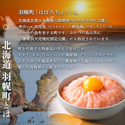 北海道羽幌町への応援寄付　返礼品なし　1口 50,000円【99007】