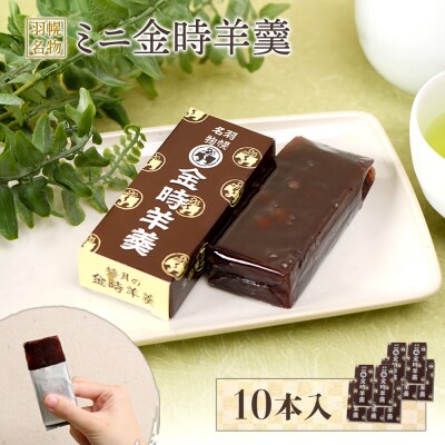 羽幌名物 ミニ金時羊羹10本入【1111101】