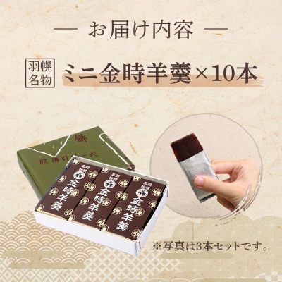 羽幌名物 ミニ金時羊羹10本入【11111】
