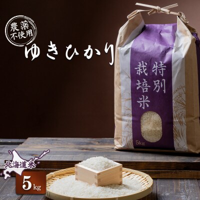 【2025年産】 北海道産 ゆきひかり 5kg(栽培期間中、無化学肥料・農薬不使用)【25108】