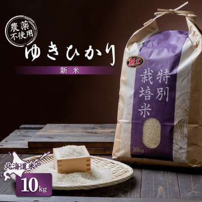 【2025年産】 北海道産  ゆきひかり 10kg(無化学肥料・農薬不使用)【25109】