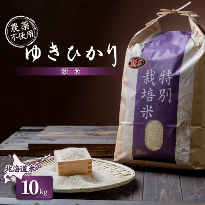 【2025年産】ゆきひかり 10kg(栽培期間中、無化学肥料・農薬不使用)【25109】