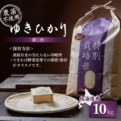 【2025年産】ゆきひかり 10kg(栽培期間中、無化学肥料・農薬不使用)【25109】