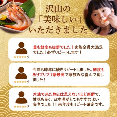 超速リキッド凍結でドリップゼロ!北海道羽幌産生鮮ぼたんえび 400g【03127】