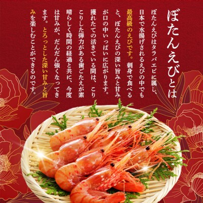 超速リキッド凍結でドリップゼロ!北海道羽幌産生鮮ぼたんえび 400g【0312701】