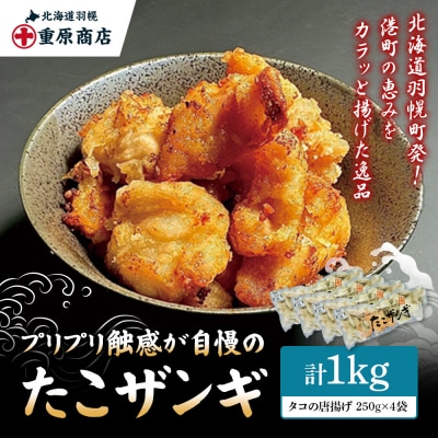 プリプリ触感が自慢 たこザンギ 計1kg (タコの唐揚げ 250g×4)【05128】