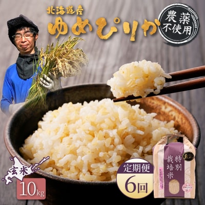 【定期便6回】特別栽培米 ゆめぴりか玄米 10kg(栽培期間中無化学肥料・農薬不使用)【25142】