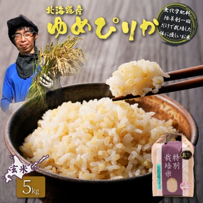 北海道産 特別栽培米 ゆめぴり 玄米 5kg(栽培期間中無化学肥料、除草剤一回だけ)【25146】