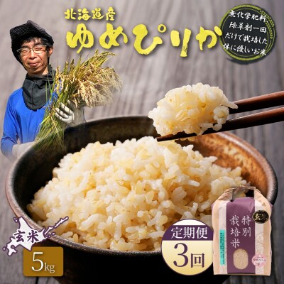 【定期便:3回】特別栽培米 ゆめぴりか玄米 5kg(栽培期間中、無化学肥料除草剤一回)【25147】