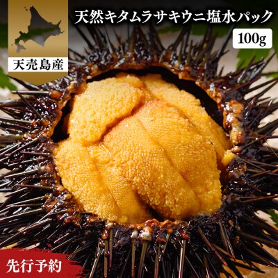 【北海道 天売島産】先行予約 天然キタムラサキウニ塩水パック100g×1パック【31001】