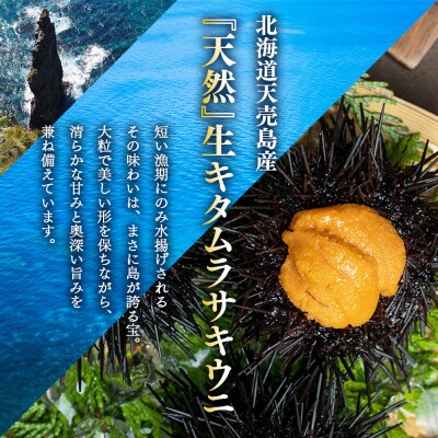 【北海道 天売島産】先行予約 天然キタムラサキウニ塩水パック100g×1パック【31001】