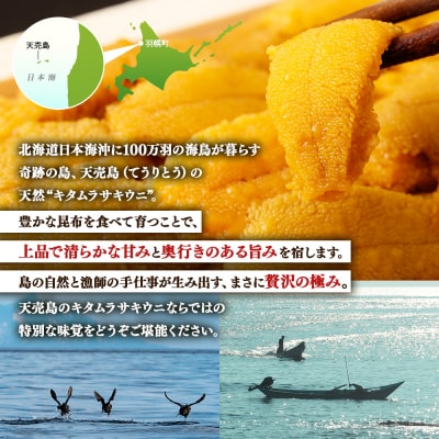 【北海道 天売島産】天然キタムラサキウニ塩水パック100g×1パック【31001】