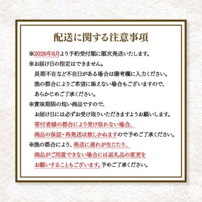 【北海道 天売島産】先行予約 天然キタムラサキウニ塩水パック100g×1パック【31001】