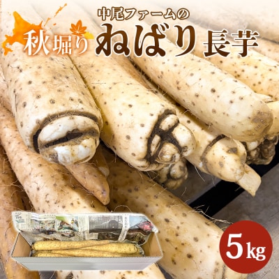 【秋堀り】中尾ファームのねばり 長芋 5kg【3400101】