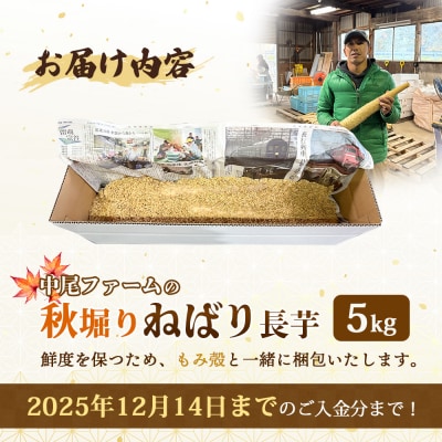 【秋堀り】中尾ファームのねばり 長芋 5kg【3400101】