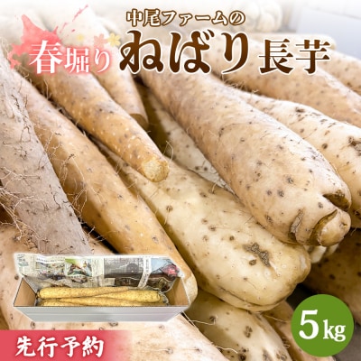 ※先行予約開始 【春堀り】中尾ファームのねばり長芋 5kg【3400301】