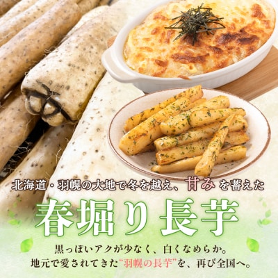 ※先行予約開始 【春堀り】中尾ファームのねばり長芋 5kg【3400301】