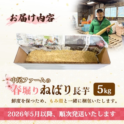 ※先行予約開始 【春堀り】中尾ファームのねばり長芋 5kg【3400301】