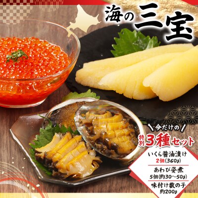 【贅沢詰合せ】北海道 海の幸3種セットB(いくら2個・あわび・味付け数の子)【02168】
