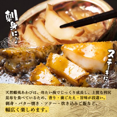 天売島産 天然蝦夷あわび 大サイズ 3個入×2パック (1個 約100g～140g)【02163】