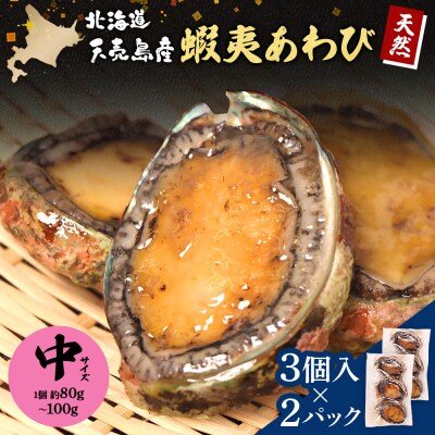 天売島産 天然蝦夷あわび 中サイズ 3個入×2パック (1個 約80g～100g)【02170】