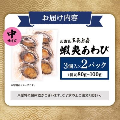 天売島産 天然蝦夷あわび 中サイズ 3個入×2パック (1個 約80g～100g)【02170】