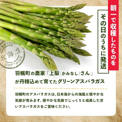 朝採り発送 かみなしさんのグリーンアスパラ 1kg(Lサイズ以上)【32002】