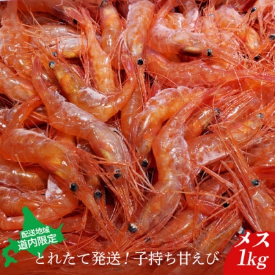 【配送地域・北海道内限定】とれたて発送!子持ち甘えび　メス 1kg【06113】