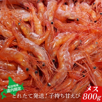 【配送地域・北海道内限定】とれたて発送!子持ち甘えび　メス 800g【06113】