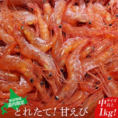 【配送地域・道内限定】とれたて!甘えび1kg(中サイズ以上)【06112】