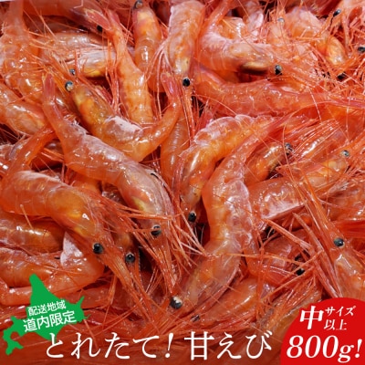 【配送地域・道内限定】とれたて!甘えび800g(中サイズ以上)【06112】