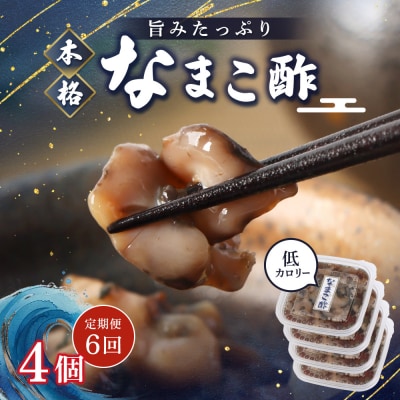 【定期便:全6回】【マリナシーフーズ】なまこ酢×4個 計240g【02182】