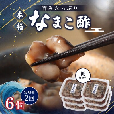 【定期便:全2回】【マリナシーフーズ】なまこ酢×6個 計360g【02183】