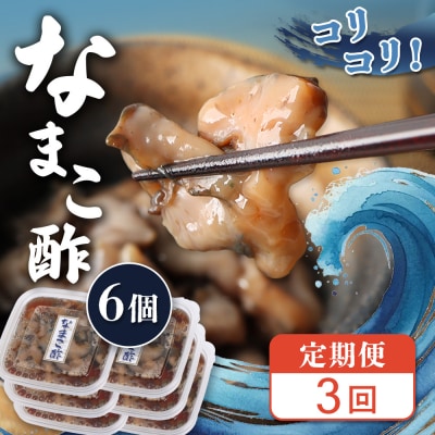 【定期便:全3回】【マリナシーフーズ】なまこ酢×6個 計360g【02184】