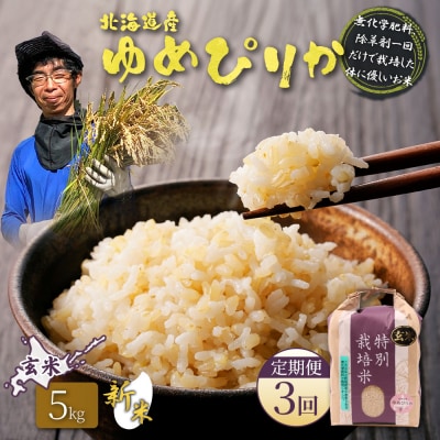 【2026年産新米】【定期便:3回】ゆめぴりか玄米 5kg(無化学肥料、除草剤一回)【25208】