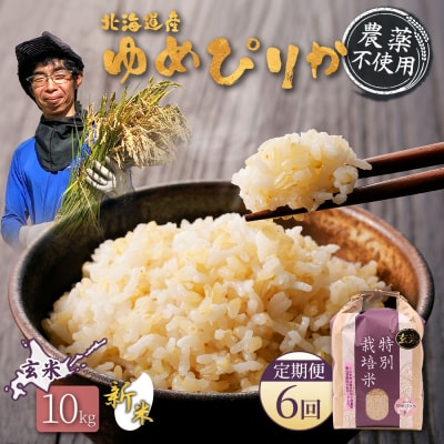 【2026年産新米】定期便6回　北海道ゆめぴりか玄米10kg(無化学肥料・農薬不使用)【25206】