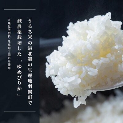 【2026年産新米】【定期便:3回】北海道ゆめぴりか10kg(無化学肥料、除草剤一回)【25190】