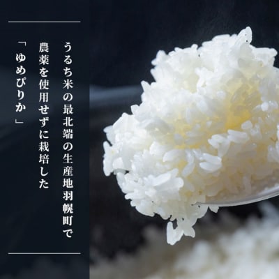 【2026年産新米】北海道産 特別栽培米 ゆめぴりか5kg (無化学肥料・農薬不使用)【25176】