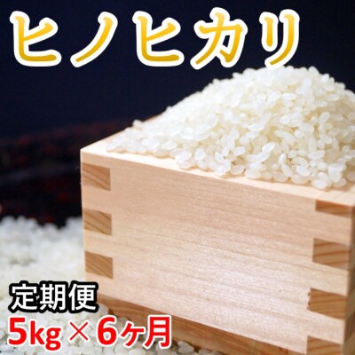 【定期便6回】ヒノヒカリ5kg×6回「伊東マンショ米」[2060]