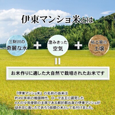 【定期便6回】ヒノヒカリ5kg×6回「伊東マンショ米」[2060]