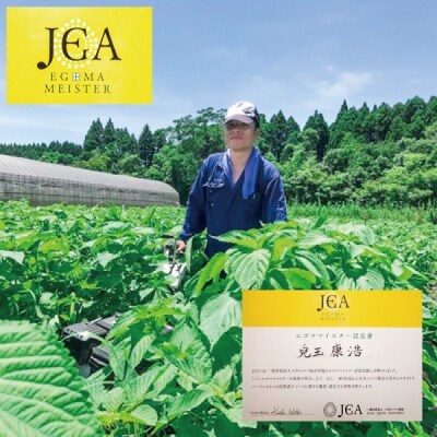 えごまギフトセットC　西都市産生えごま油/えごま煎餅/えごま茶[2472]