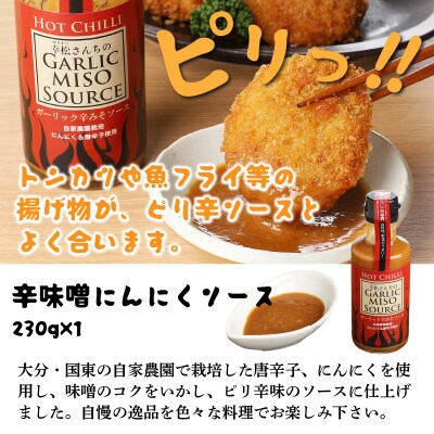 幸松さんちの厳選にんにく&かぼす調味料_29230A