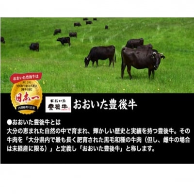 毎月お届け!豊後牛切り落とし定期便 / 計3回発送_2195R