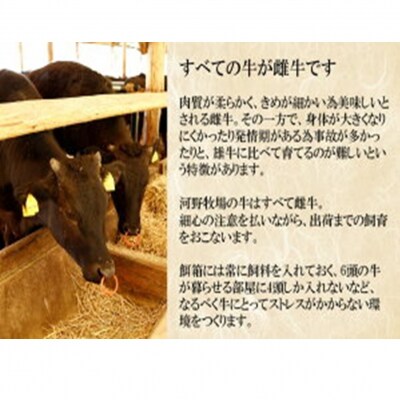 国東牛(国東市産の豊後牛)ロースすき焼き用500g_2209R