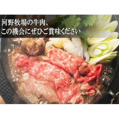 国東牛(国東市産の豊後牛)ロースすき焼き用500g_2209R