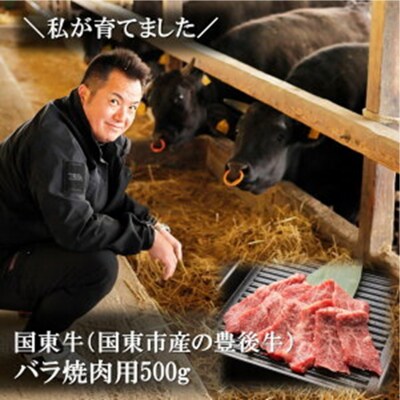 国東牛(国東市産の豊後牛)バラ焼肉用(1口カット)500g_2211R