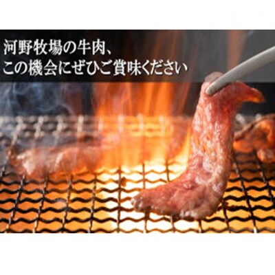 国東牛(国東市産の豊後牛)バラ焼肉用(1口カット)500g_2211R