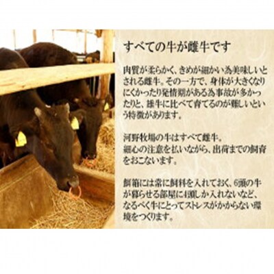 国東牛(国東市産の豊後牛)カルビ焼肉用(1口カット)500g_2212R