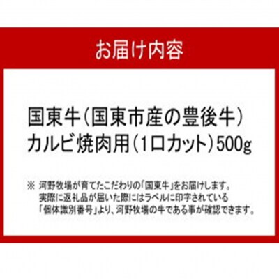 国東牛(国東市産の豊後牛)カルビ焼肉用(1口カット)500g_2212R